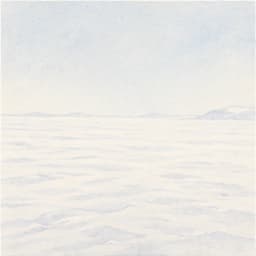 снежная пустыня